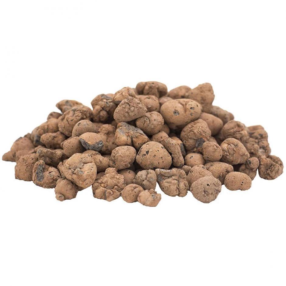 Floragard Tongranulat â Bild 2