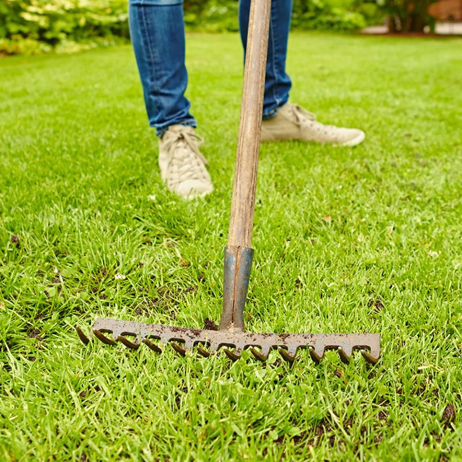 Floragard Rasenfit 4-in-1 â Bild 3