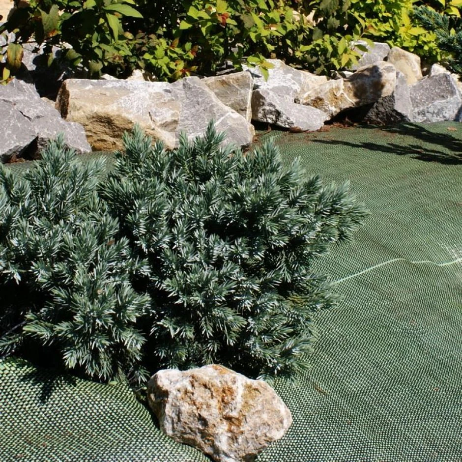 Unkrautblocker PP-Gewebe Grün Polypropylen Unkrautvlies – Bild 2