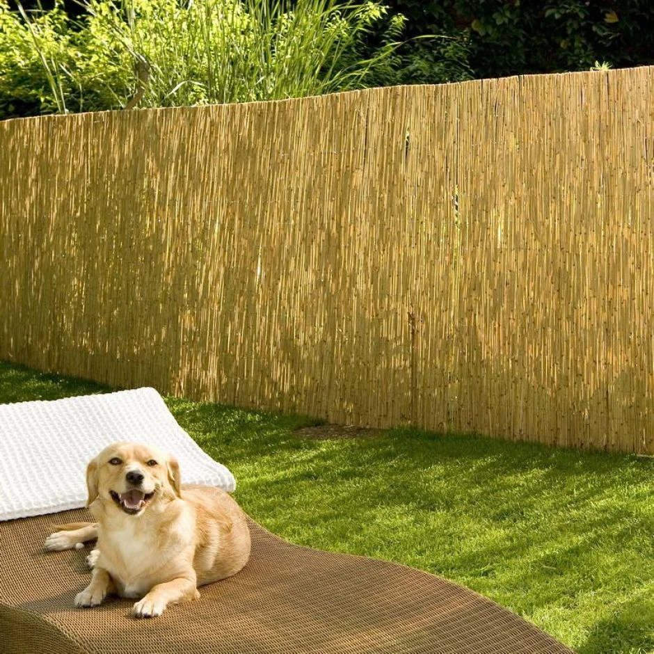 NOOR Schilfrohrmatte St.Tropez Sichtschutzmatte â Bild 2
