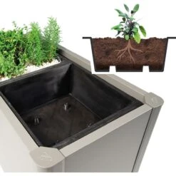 Biohort Pflanzeinsatz Für Pflanzbeet Belvedere