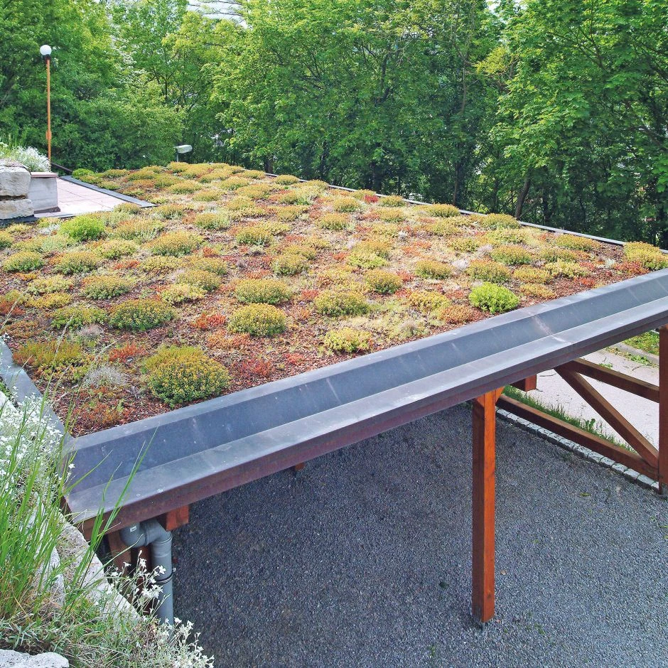 Bauder Gründach-Paket Light 70 Kg Leichtvariante Für 18 M² – Bild 2