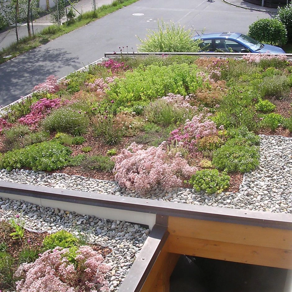 Bauder Gründach-Paket Light 70 Kg Leichtvariante Für 18 M² – Bild 3