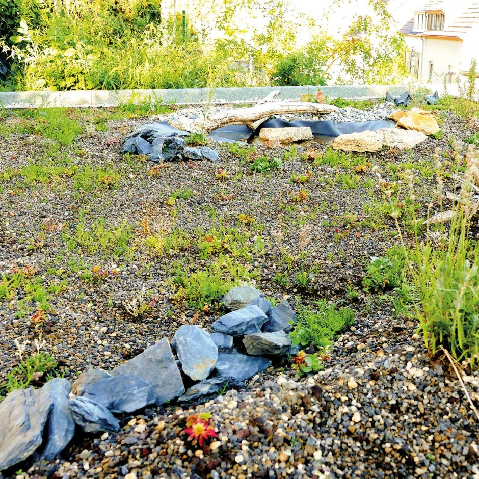 Bauder Gründach-Paket Light 70 Kg Leichtvariante Für 18 M² – Bild 4