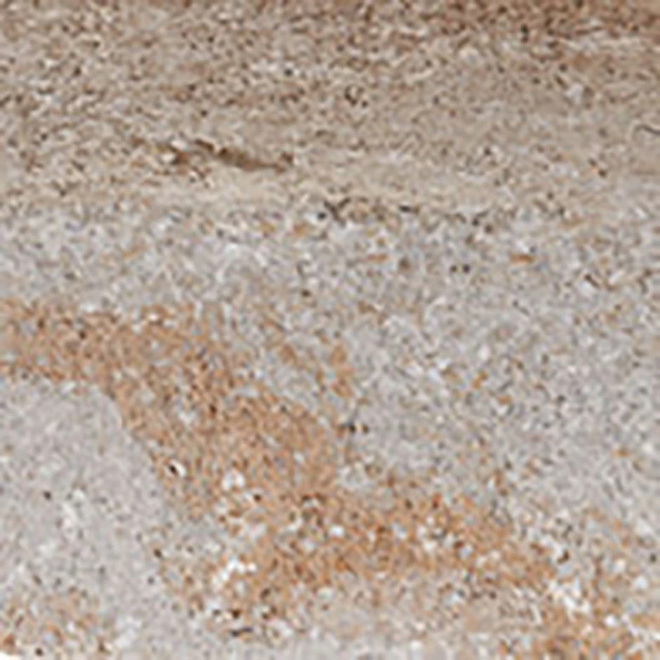 EHL Gartenmauer Mauersystem BossAntik Sandstein-gelb Mauersteine â Bild 4