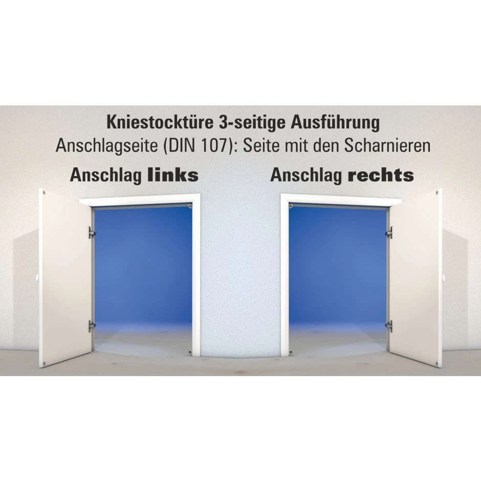 Wellhöfer Kniestocktüre 3-seitige Ausführung Ohne Bodenschwelle – Bild 2